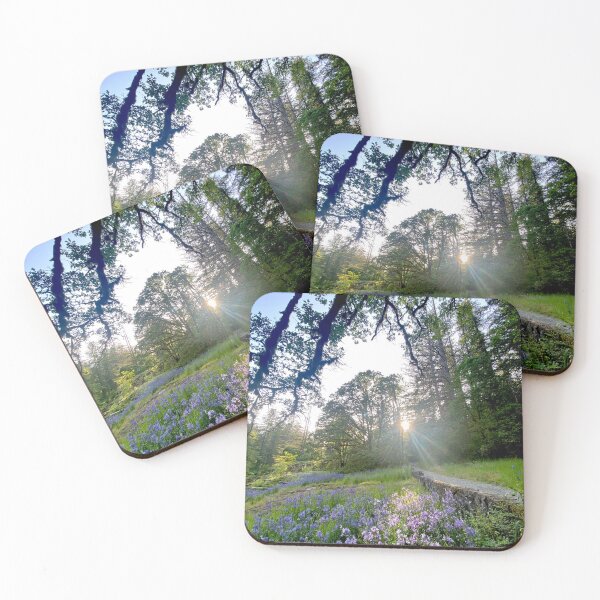 Item preview, Camas lily meadow in Pacific Northwest  designed and sold by EricaVollmer.
