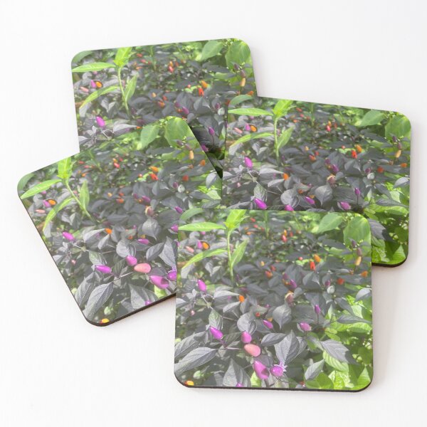 Item preview, Vibrant Purple Peppers in Sunlight designed and sold by TrisaThyme.