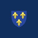 Blason France Moderne French Royal Golden Yellow Fleur De Lys Lis Blue King Of France Coat Of Arms Vintage Dark Navy Blue Background Hd High Quality Ipad Case Skin By Iresist