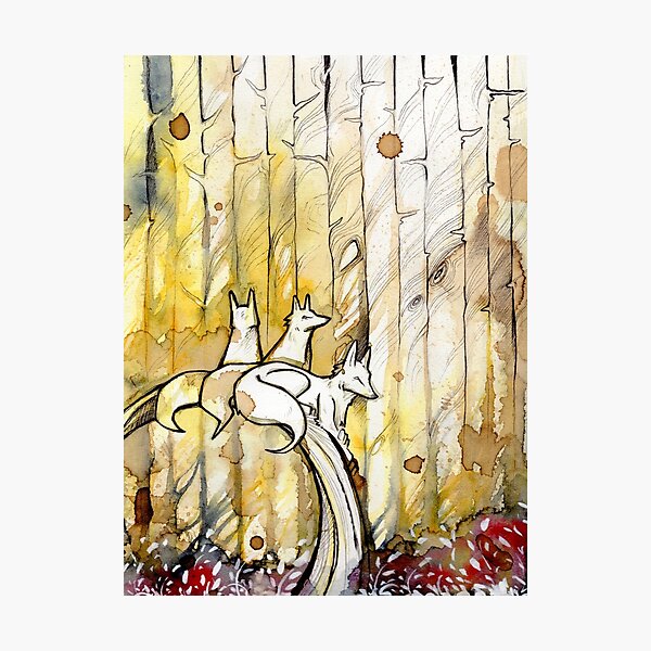 Three foxes Photographic Print