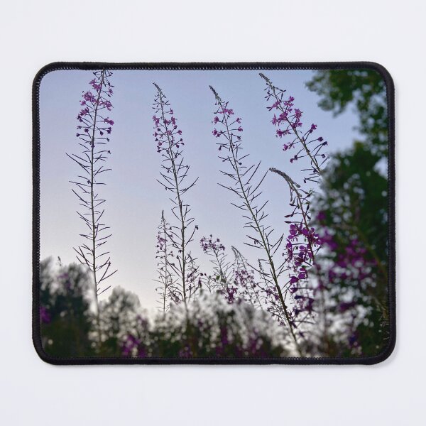 Item preview, Fireweed at twilight designed and sold by EricaVollmer.