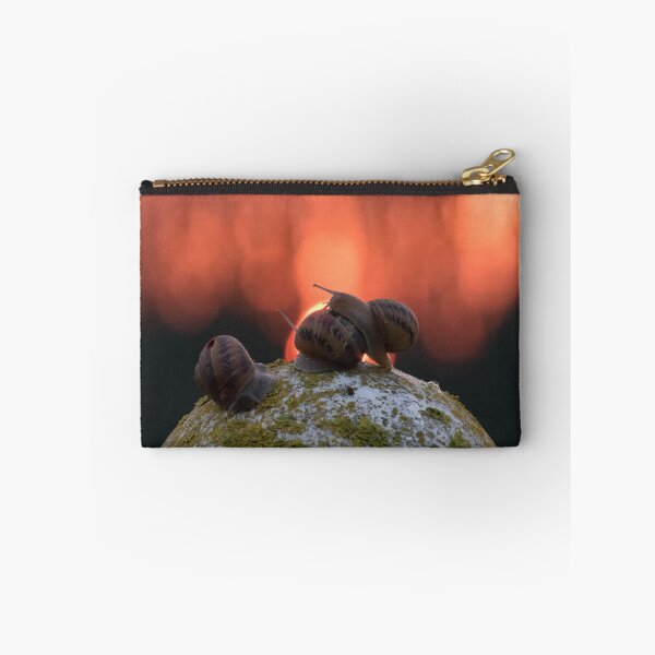 Item preview, Snail Love in susnset designed and sold by dariobio.