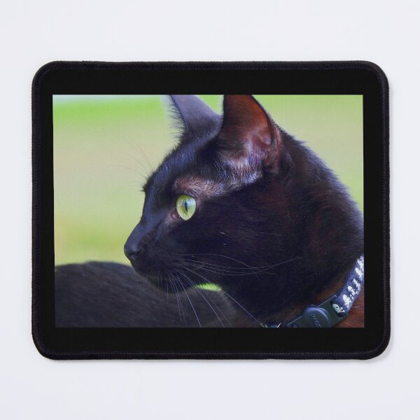 Item preview, Black Cat Green Eyes designed and sold by MarMarPhoto.