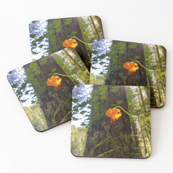 Item preview, Columbia lily glowing in the sunlight  designed and sold by EricaVollmer.