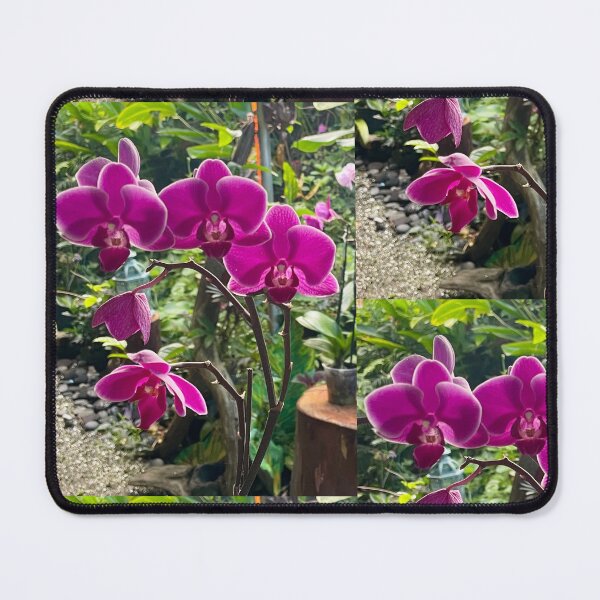 Item preview, Vibrant Magenta Orchid Blossoms designed and sold by TrisaThyme.
