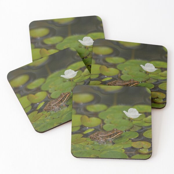 Item preview, A little frog on the lotus leaves designed and sold by Production Art Manon Meilleur.