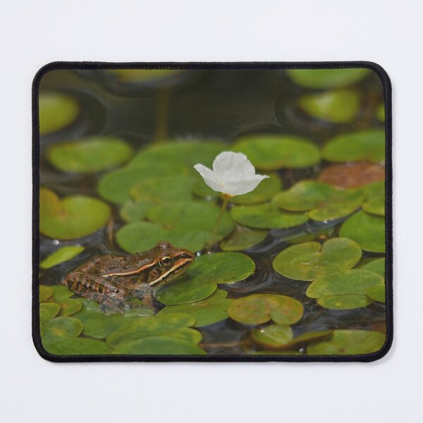 Item preview, A little frog on the lotus leaves designed and sold by Production Art Manon Meilleur.