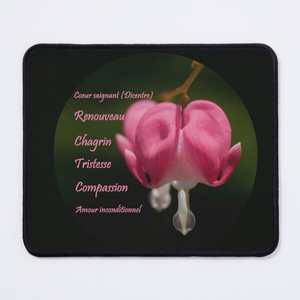 Item preview, A photo of a bleeding heart (Dicentra) designed and sold by Production Art Manon Meilleur.