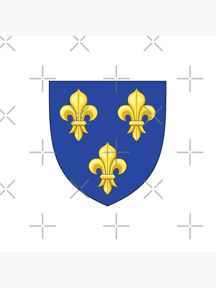 Blason France moderne French royal golden yellow fleur de lys lis blue King  of France coat of arms vintage white background HD HIGH QUALITY