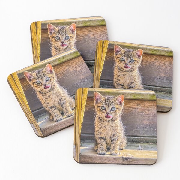 Item preview, Cute Tabby Kitten Sitting on Wooden Steps Cat Photography Print designed and sold by aadventures.