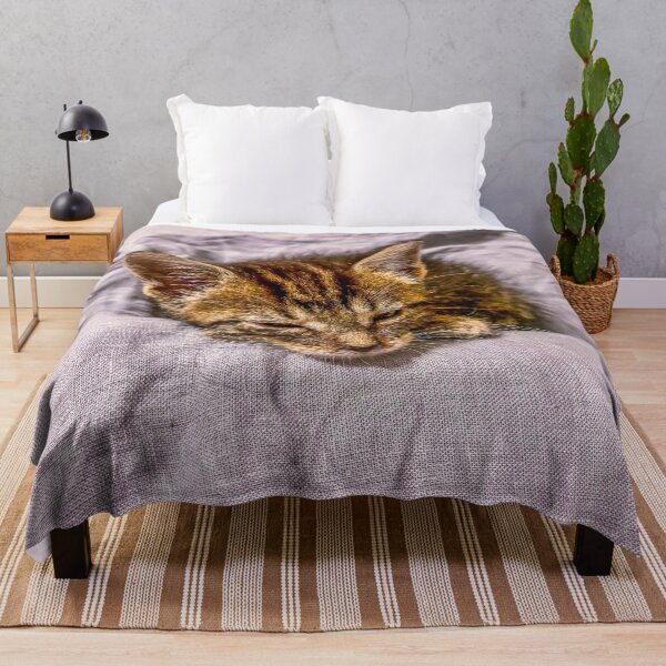 Item preview, Sleepy Tabby Kitten Resting on Bed Cute Cat Photography Print designed and sold by aadventures.