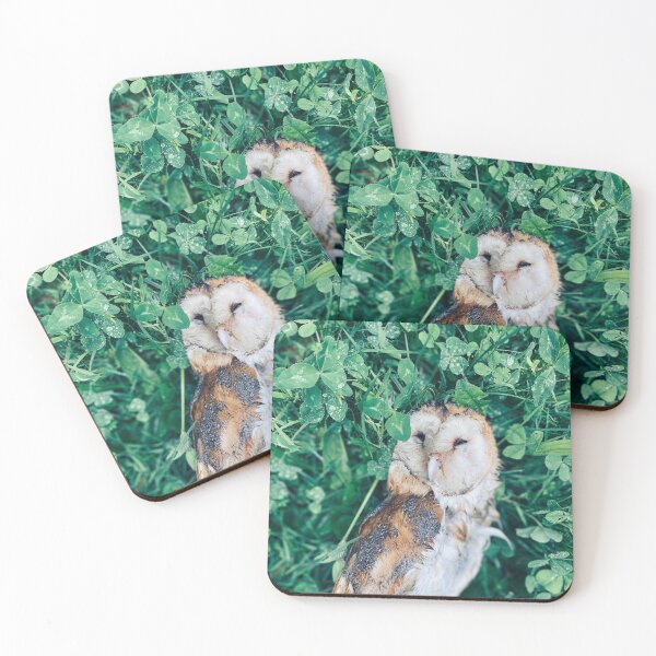 Item preview, Barn owl in clover patch designed and sold by EricaVollmer.