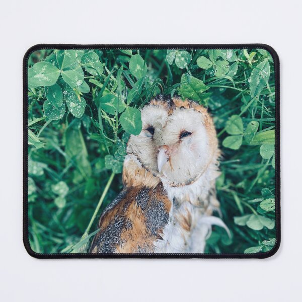 Item preview, Barn owl in clover patch designed and sold by EricaVollmer.