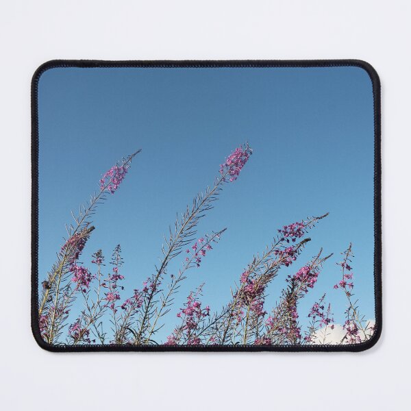 Item preview, Fireweed and Blue Skies designed and sold by EricaVollmer.