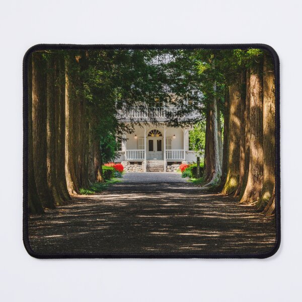 Item preview, Cedar-Lined Approach to a Historic Meiji-Era Villa in Tochigi, Japan designed and sold by Pix4Japan.