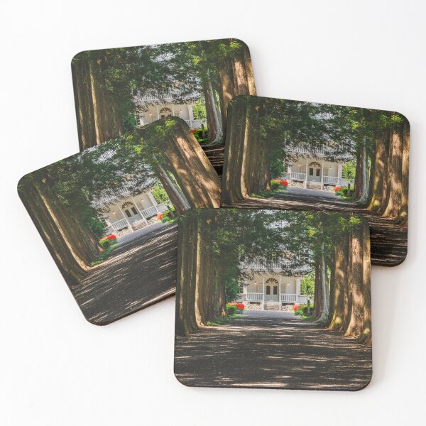 Item preview, Cedar-Lined Approach to a Historic Meiji-Era Villa in Tochigi, Japan designed and sold by Pix4Japan.