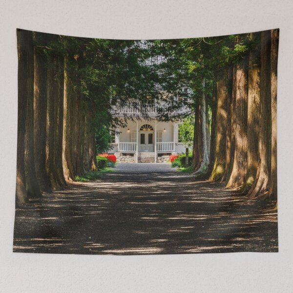Item preview, Cedar-Lined Approach to a Historic Meiji-Era Villa in Tochigi, Japan designed and sold by Pix4Japan.