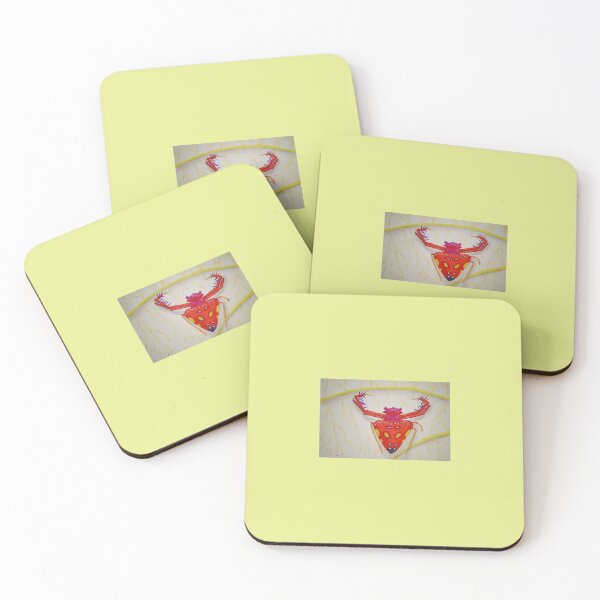 Item preview, Crab Spider designed and sold by Joe Mogel.