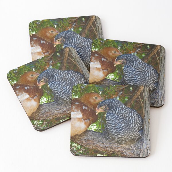 Item preview, Two Young Chickens Perched in a Tree – Sweet Backyard Poultry Moment designed and sold by Susarellis.