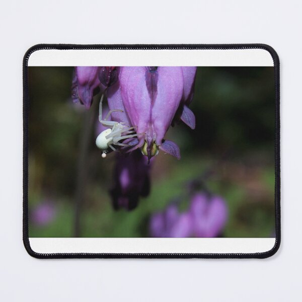 Item preview, Crab spider on bleeding heart designed and sold by EricaVollmer.
