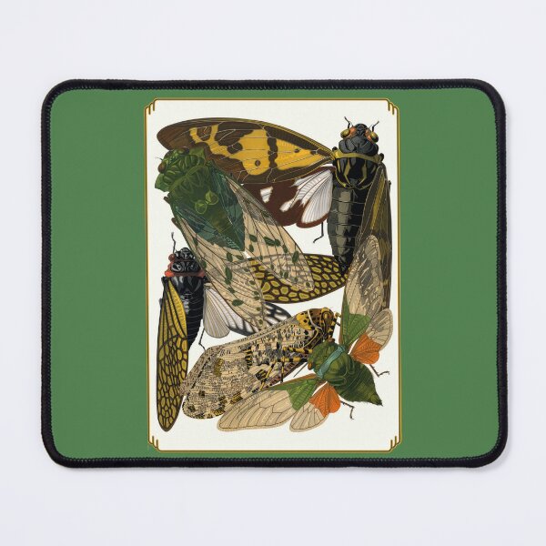 Item preview, Entomological Print: Colorful Insects 2 designed and sold by Tridentulus.
