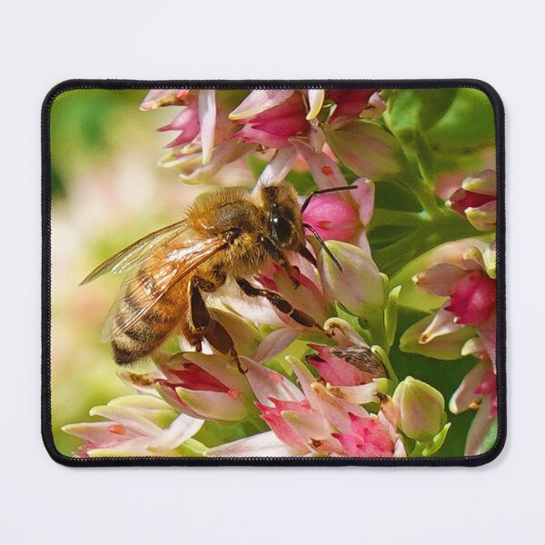 Item preview, Sunlit Bee Gathering Among Pink Stars designed and sold by Susarellis.