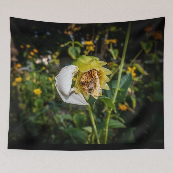 Item preview, Finding Value in the Last Bloom designed and sold by Susarellis.