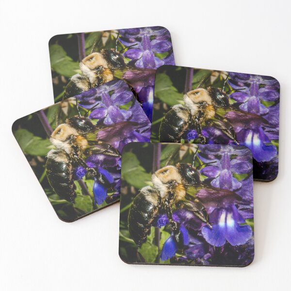 Item preview, Bee Shimmering Wing Embrace in the Purple Garden designed and sold by Susarellis.