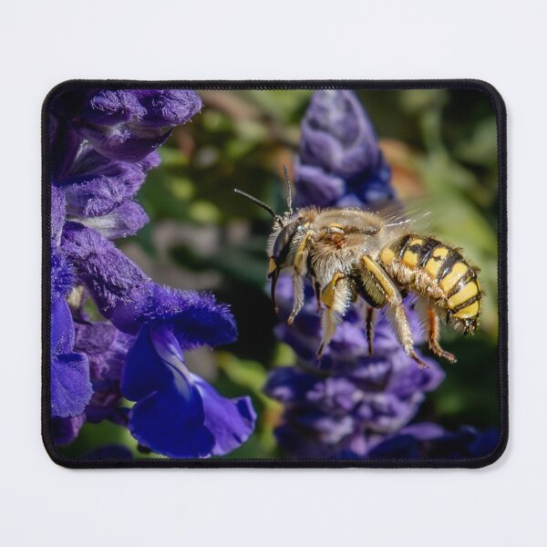 Item preview, Bee's Moment Between Blossoms designed and sold by Susarellis.