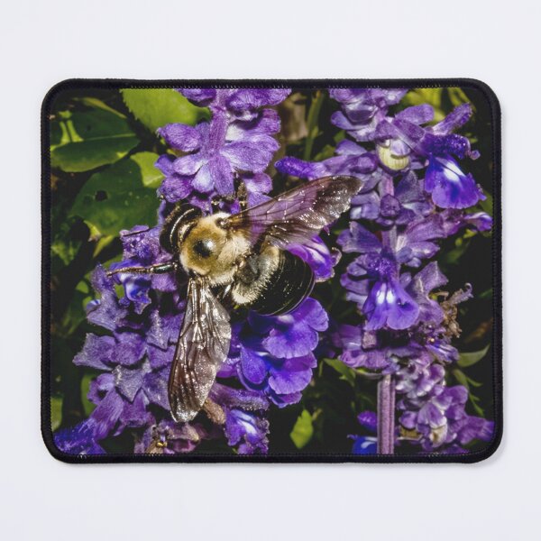Item preview, Bee's Busy Morning on the Purple Spires designed and sold by Susarellis.