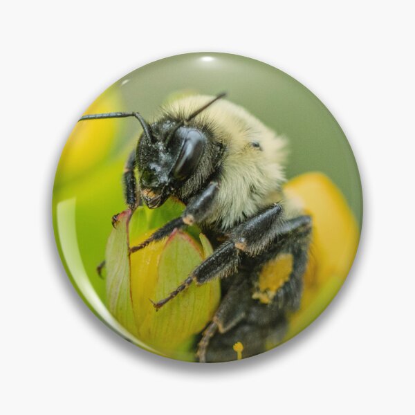 Item preview, The Bee Who Paused With Me designed and sold by Susarellis.