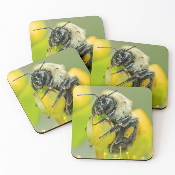 Item preview, The Bee Who Paused With Me designed and sold by Susarellis.