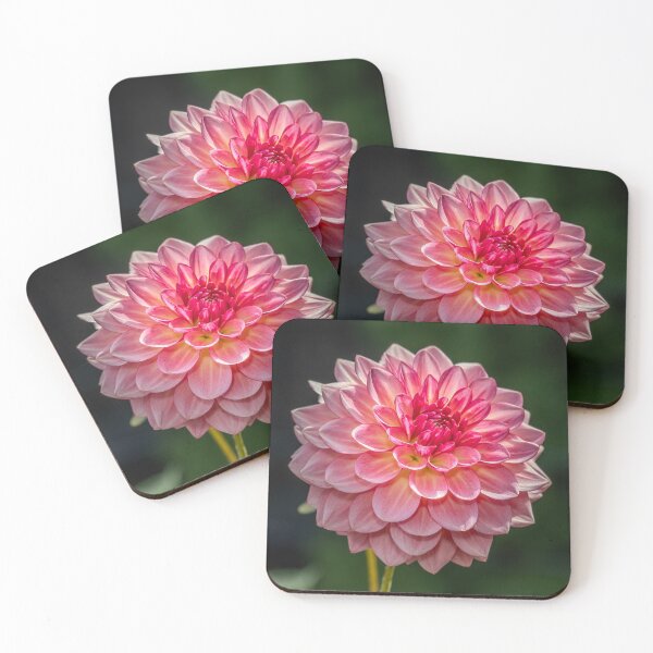 Item preview, Radiant Pink Dahlia with Blushed Petals – Botanical Macro Flower designed and sold by Susarellis.