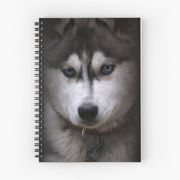 Item preview, Huskies Dog designed and sold by MilanMKM.