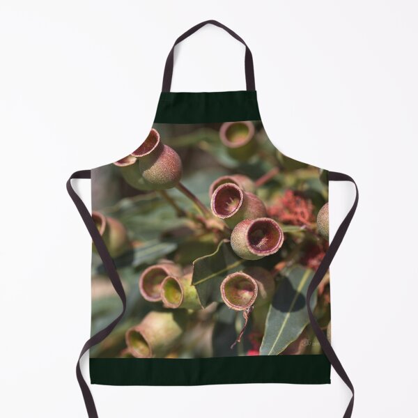Item preview, After The Flowers Gumnuts designed and sold by Joy Watson - Natural Light Photography .