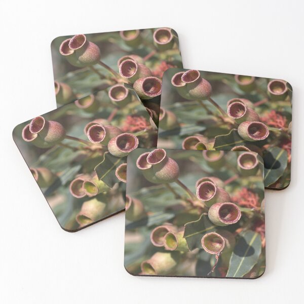 Item preview, After The Flowers Gumnuts designed and sold by Joy Watson - Natural Light Photography .