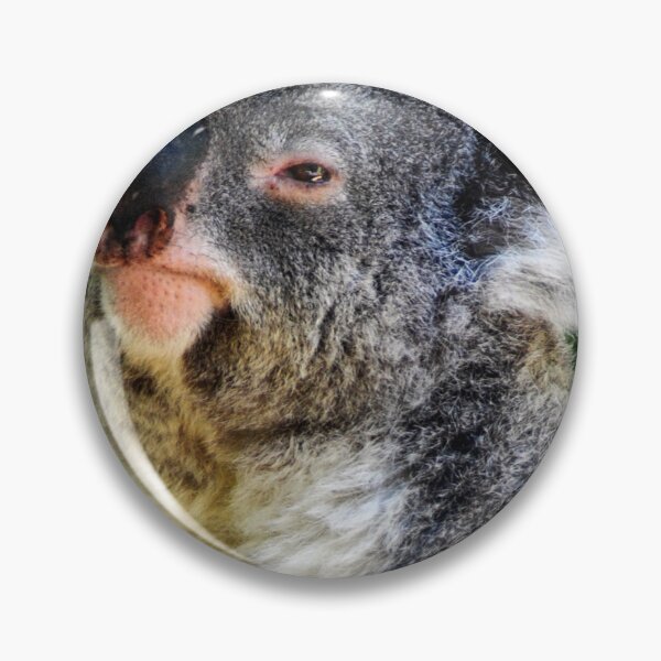 Item preview, Koala Close Up designed and sold by Kerri Ann McClellan.