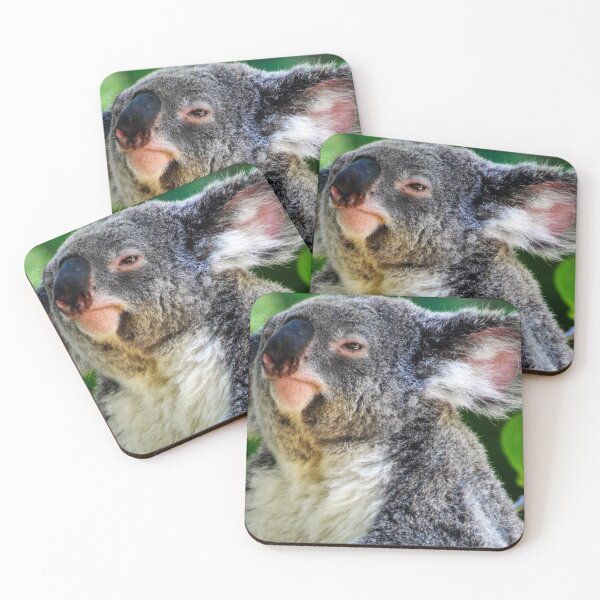 Item preview, Koala Close Up designed and sold by Kerri Ann McClellan.