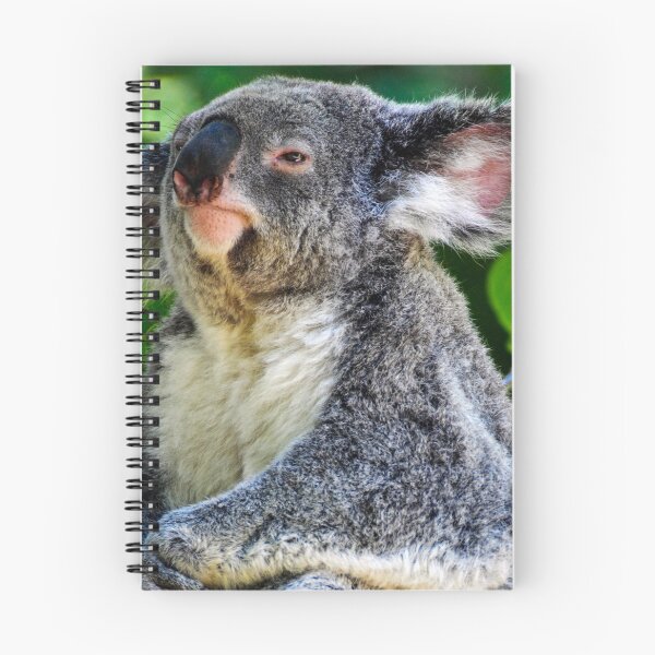 Item preview, Koala Close Up designed and sold by Kerri Ann McClellan.