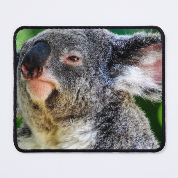 Item preview, Koala Close Up designed and sold by Kerri Ann McClellan.