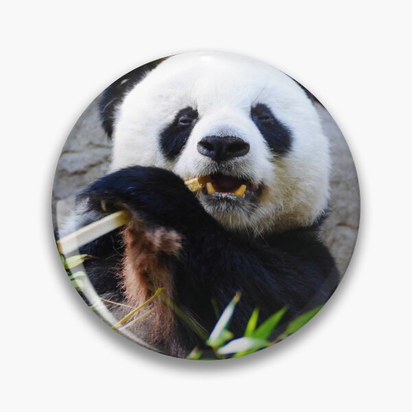 Item preview, A Little Snack designed and sold by Kerri Ann McClellan.