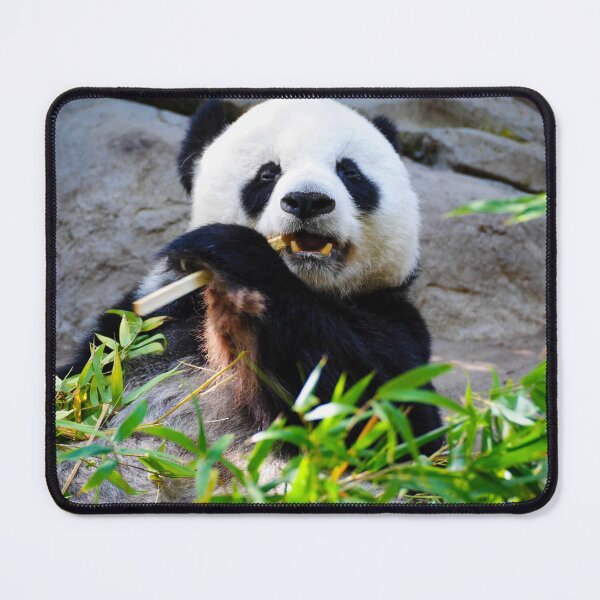 Item preview, A Little Snack designed and sold by Kerri Ann McClellan.