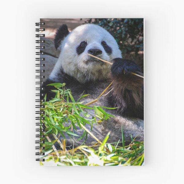 Item preview, Panda and Bamboo designed and sold by Kerri Ann McClellan.