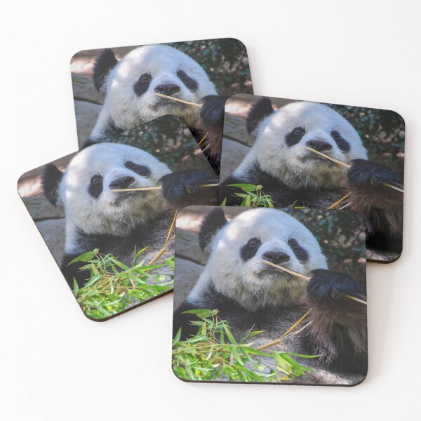 Item preview, Panda and Bamboo designed and sold by Kerri Ann McClellan.