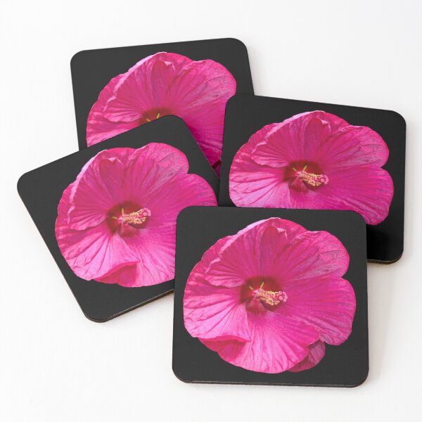 Item preview, Radiant Pink Hibiscus with Transparent Background designed and sold by Susarellis.