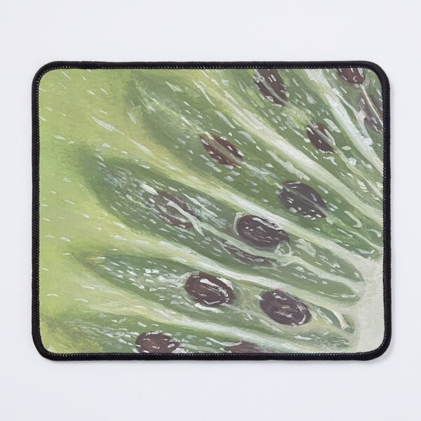 Item preview, Kiwi fruit gouache painting designed and sold by June Clancy.