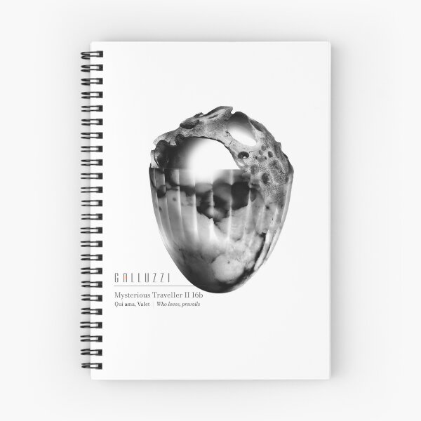 Item preview, Mysterious Traveller II b | Qui ama, Valet / Who loves, prevails designed and sold by GalluzziART.