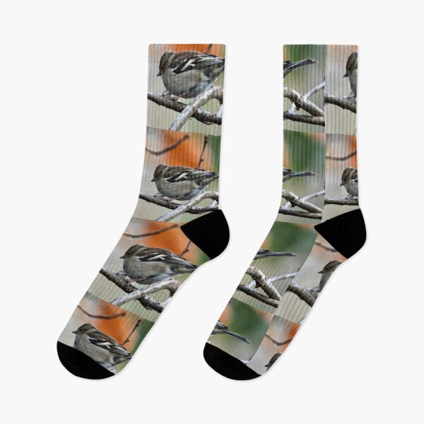 Item preview, Chaffinch designed and sold by KathleenDawson.
