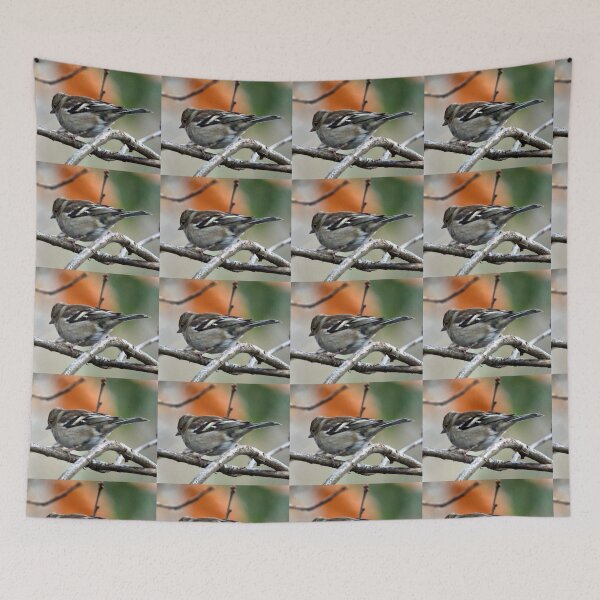 Item preview, Chaffinch designed and sold by KathleenDawson.