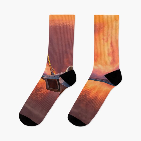 Item preview, F-22 Across the Sunlit Sands designed and sold by Skyframe Aviation.
